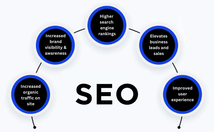 seo-infographic